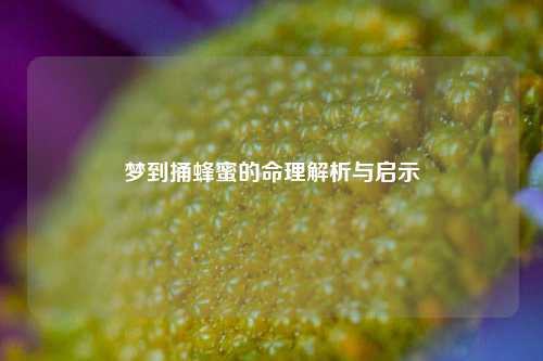 梦到捅蜂蜜的命理解析与启示