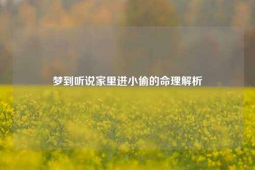 梦到听说家里进小偷的命理解析